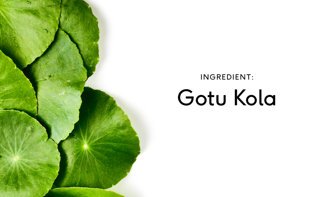 What is Gotu Kola? Benefits, History, and Science of Centella Asiatica |  Feel - Wellness, Reimagined