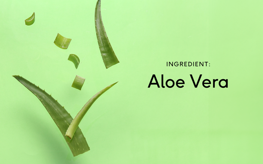 Learn About Aloe Vera in 5 Minutes | Feel - Wellness, Reimagined