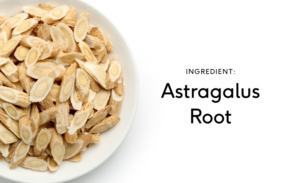 Learn About Astragalus Root Extract In 5 Minutes Feel Wellness learn-about-astragalus-root-extract-in-5-minutes-feel-wellness