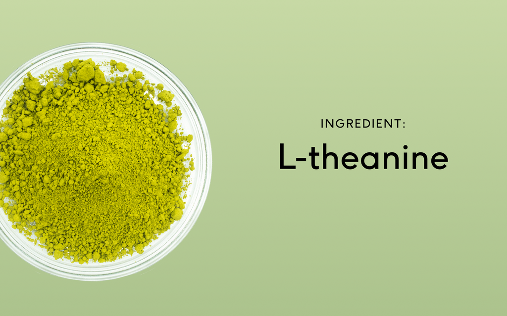 What is L-theanine? Benefits, History, and Science of Green Tea Extrac |  Feel - Wellness, Reimagined
