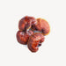 Reishi Mushroom Extract