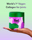 Pro Collagen for Joints - Type 2 - Watermelon thumbnail 1
