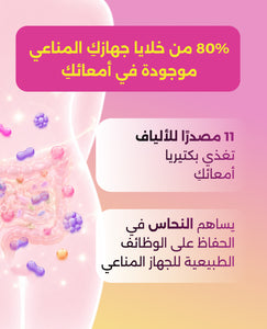 فايبر جيلي image 5