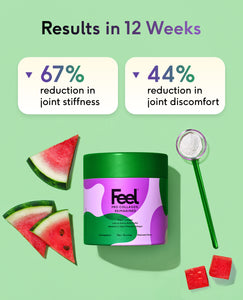 Pro Collagen for Joints - Type 2 - Watermelon image 4
