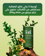 اوميغا 3  thumbnail 5