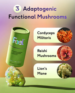 Ashwagandha + Mushroom Complex image 5