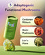 Ashwagandha + Mushroom Complex thumbnail 5