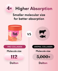 Feel Pro Collagen - Pineapple image 6