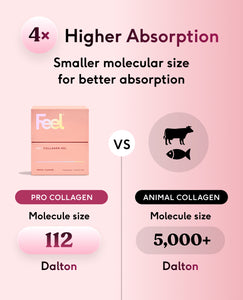 Pro Collagen Gels - Tropical image 6