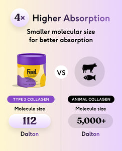 Pro Collagen for Joints - Type 2 - Mango image 9