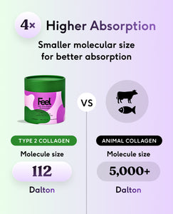 Pro Collagen for Joints - Type 2 - Watermelon image 9