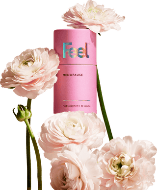 Menopause product hero image