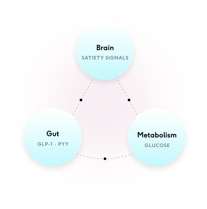 pyy and glp 1 Frontiers Ghrelin, CCK, GLP-1, and PYY(3-36):